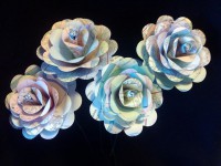 single large map rose